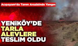 Yeniköy'de Tarla Alevlere Teslim Oldu