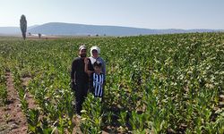 “Bizim hikâyemiz tütün tarlasında başladı”
