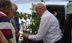 Babadağ Belediyesi çiftçilere ceviz fidanı dağıttı