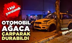 Otomobil ağaca çarparak durabildi
