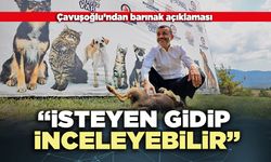Çavuşoğlu’ndan barınak açıklaması: “İsteyen gidip inceleyebilir”