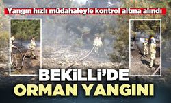Bekilli’de orman yangını