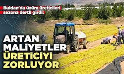 Buldan'da üzüm üreticileri sezona dertli girdi: Artan maliyetler üreticiyi zorluyor