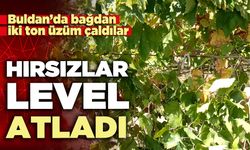 Hırsızlık level atladı