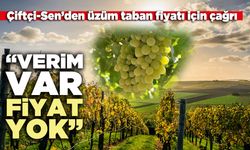 Çiftçi-Sen’den üzüm taban fiyatı için çağrı: “Verim var, fiyat yok”