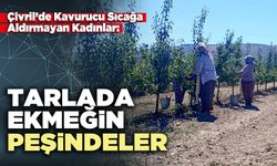 Çivril’de Kavurucu Sıcağa Aldırmayan Kadınlar: Tarlada ekmeğin peşindeler