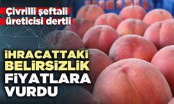 İhracattaki belirsizlik fiyatlara vurdu