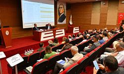 Sokak hayvanları için kapsamlı kararlar alındı