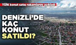 Denizli’de kaç konut satıldı?