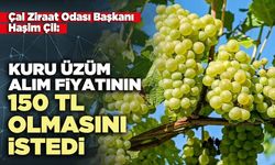 Çal Ziraat Odası Başkanı Haşim Çil: Kuru üzüm alım fiyatının 150 tl olmasını istedi
