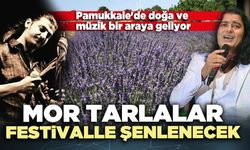 Mor tarlalar festivalle şenlenecek