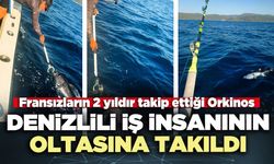 Fransızların 2 yıldır takip ettiği Orkinos Denizlili iş insanının oltasına takıldı
