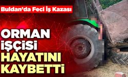 Orman İşçisi Hayatını Kaybetti