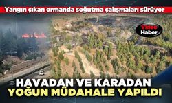 Orman yangınına havadan ve karadan yoğun müdahale yapıldı
