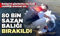 80 Bin sazan balığı bırakıldı