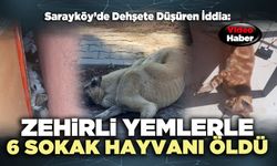 Sarayköy’de D*hşete Düşüren İddia: Zehirli yemlerle 6 sokak hayvanı öldü