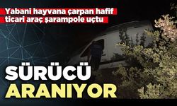 Yabani hayvana çarpan hafif ticari araç şarampole uçtu: Sürücü aranıyor
