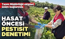 Hasat öncesi pestisit denetimi