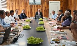 Üzüm üreticisinin talepleri Denizli'de masaya yatırıldı