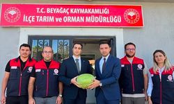 Beyağaç Karpuzu için coğrafi işaret süreci başladı