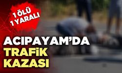 Acıpayam’da trafik kazası: 1 ölü 1 yaralı
