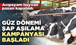 Güz dönemi şap aşılama kampanyası başladı