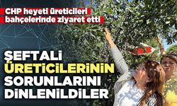 Şeftali üreticilerinin sorunlarını dinlenildiler