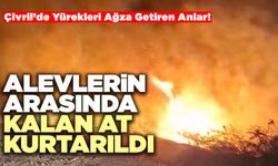 Çivril’de Alevlerin Arasında Kalan At Kurtarıldı