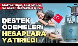 Destek ödemeleri hesaplara yatırıldı
