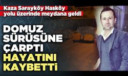 Domuz sürüsüne çarptı hayatını kaybetti