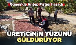 Güney’de Antep Fıstığı hasadı üreticinin yüzünü güldürüyor