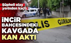 İncir bahçesindeki kavgada kan aktı