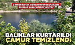 Balıklar kurtarıldı çamur temizlendi