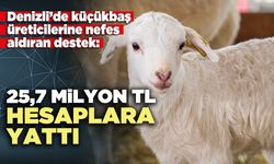 Denizli’de küçükbaş üreticilerine nefes aldıran destek: 25,7 Milyon TL hesaplara yattı