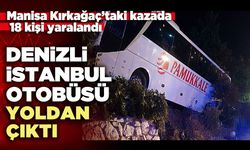 Denizli-İstanbul otobüsü yoldan çıktı