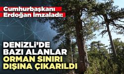 Denizli’de bazı alanlar orman sınırı dışına çıkarıldı