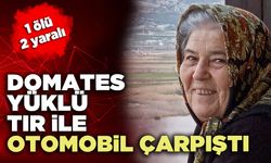 Serinhisar da Domates yüklü tır ile otomobil çarpıştı: 1 ölü, 2 yaralı