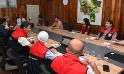 Zeytinde üretim alanları ve verim beklentileri değerlendirildi