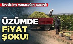 Üzümde fiyat şoku!  Üretici ne yapacağını şaşırdı