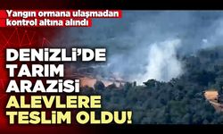 Denizli’de tarım arazisi alevlere teslim oldu!