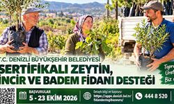Denizli’de üreticiye fidan desteği