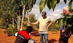 Bekilli’de üreticilere toprak analizi eğitimi verildi