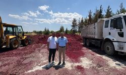 Çal Belediyesi besicilere desteğini bu yıl da sürdürdü