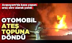 Otomobil ateş topuna döndü