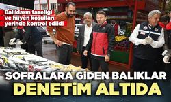 Sofralara giden balıklar denetim altıda