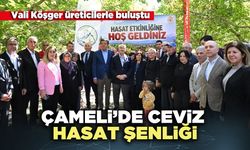 Vali Köşger ceviz hasat şenliğinde  üreticilerle buluştu