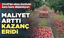 Çivril’de elma üreticisi kara kara düşünüyor: Maliyet arttı, kazanç eridi