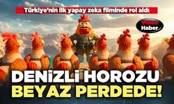 Denizli horozu beyaz perdede!