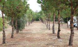 Merkezefendi’ye doğayla iç içe yeni bir yürüyüş parkı kazandırılacak