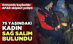 Ormanda kaybolan 75 Yaşındaki kadın sağ salim bulundu